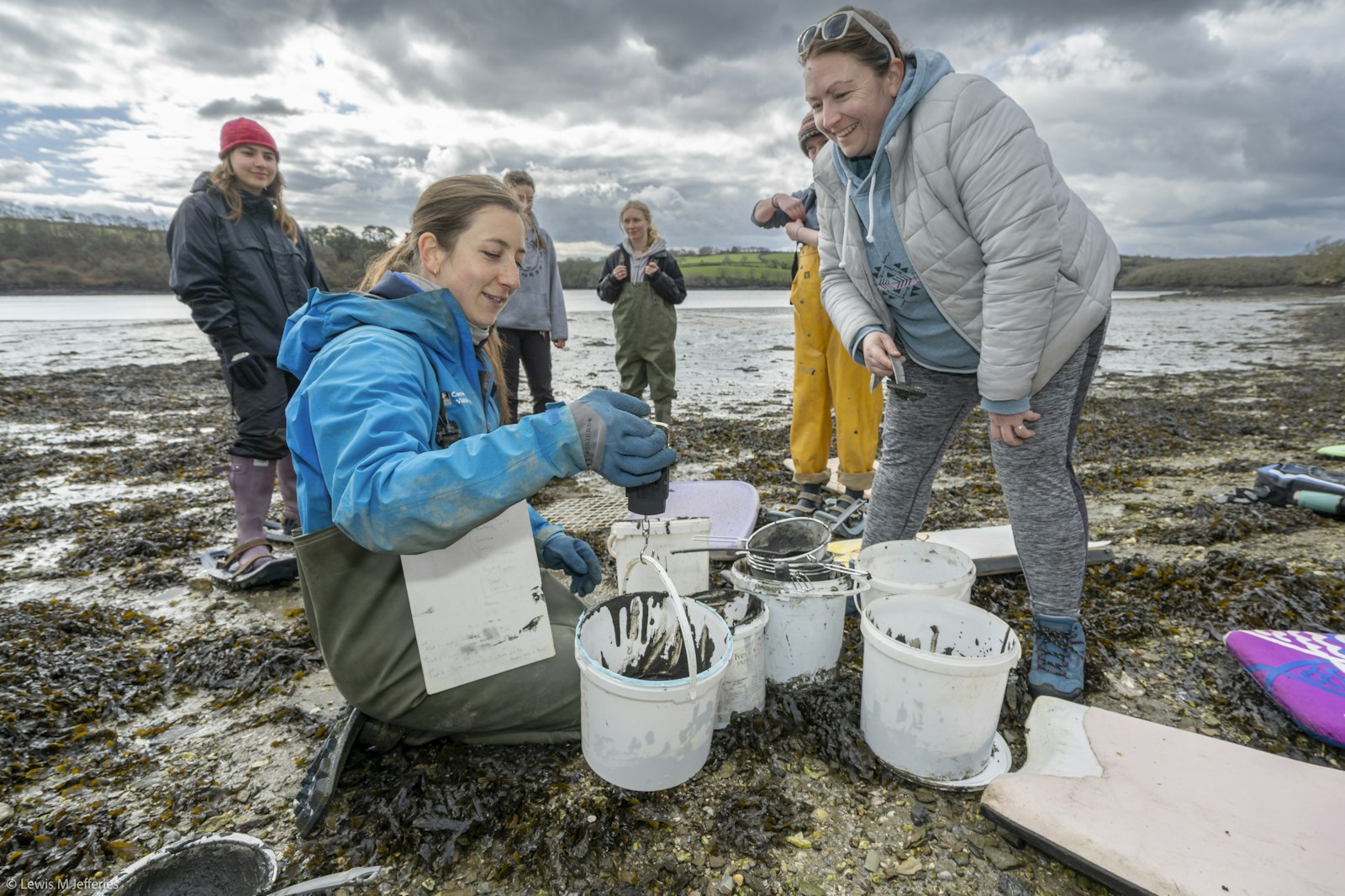 People restoring seagrass cornwall